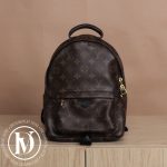 Sac à dos Palm Springs PM en toile monogram - Louis Vuitton Dressingment Votre