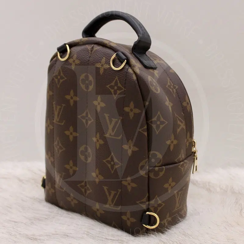 Sac à Dos Palm Spring Mini en toile monogram - Louis Vuitton Sac à Dos Palm Spring Mini en toile monogram - Louis Vuitton – Image 4