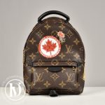 Sac à dos Palm Springs Mini ed.limitée - Louis Vuitton Dressingment Votre