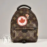 Sac à dos Palm Springs Mini ed.limitée - Louis Vuitton Dressingment Votre
